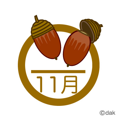 家庭菜園の11月